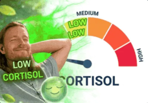 Relaxing with low cortisol after clearing physical clutter